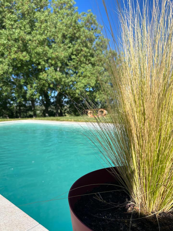 Piscina privada con carrizo y árboles al fondo