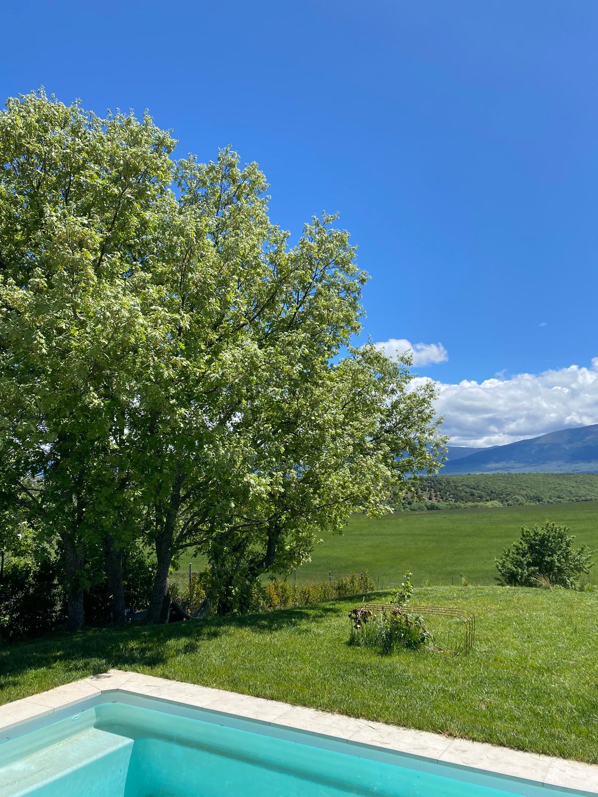 Árbol y paisaje de la sierra segoviana junto a la casa